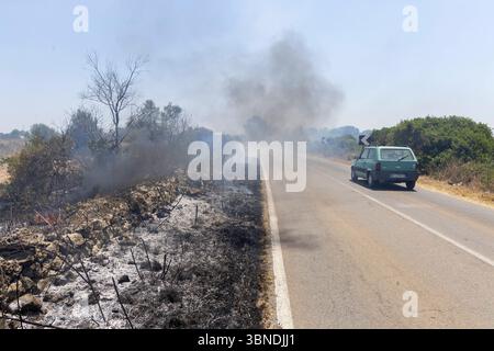 Die Auswirkung der Klimakatastrophe in Italien 27.06.2025, EU, ITA, Italien, Apulien, Lecce, Matino: neben dem Feuerbakterium Xylella fastidiosa OQDS bedrohen selbstentzündende Feuer, die durch ausbleibenden Regen und extreme Hitze entstehen, die Monokulturen der Olivenheine in der Region um Matino. EU, ITA, Italien, Apulien, Lecce, Matino: neben dem Feuerbakterium Xylella fastidiosa OQDS bedrohen selbstentzündende Brände, die durch Regen und extreme Hitze verursacht werden, die Monokulturen der Olivenhaine in der Region um Matino. Stockfoto