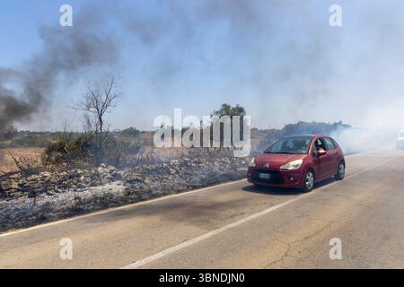 Die Auswirkung der Klimakatastrophe in Italien 27.06.2025, EU, ITA, Italien, Apulien, Lecce, Matino: neben dem Feuerbakterium Xylella fastidiosa OQDS bedrohen selbstentzündende Feuer, die durch ausbleibenden Regen und extreme Hitze entstehen, die Monokulturen der Olivenheine in der Region um Matino. EU, ITA, Italien, Apulien, Lecce, Matino: neben dem Feuerbakterium Xylella fastidiosa OQDS bedrohen selbstentzündende Brände, die durch Regen und extreme Hitze verursacht werden, die Monokulturen der Olivenhaine in der Region um Matino. Stockfoto