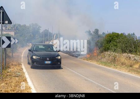 Die Auswirkung der Klimakatastrophe in Italien 27.06.2025, EU, ITA, Italien, Apulien, Lecce, Matino: neben dem Feuerbakterium Xylella fastidiosa OQDS bedrohen selbstentzündende Feuer, die durch ausbleibenden Regen und extreme Hitze entstehen, die Monokulturen der Olivenheine in der Region um Matino. EU, ITA, Italien, Apulien, Lecce, Matino: neben dem Feuerbakterium Xylella fastidiosa OQDS bedrohen selbstentzündende Brände, die durch Regen und extreme Hitze verursacht werden, die Monokulturen der Olivenhaine in der Region um Matino. Stockfoto