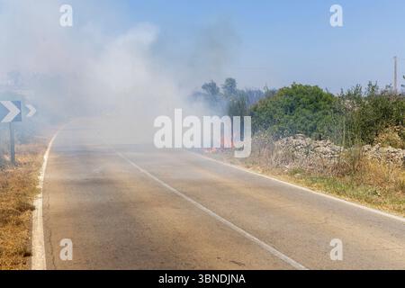 Die Auswirkung der Klimakatastrophe in Italien 27.06.2025, EU, ITA, Italien, Apulien, Lecce, Matino: neben dem Feuerbakterium Xylella fastidiosa OQDS bedrohen selbstentzündende Feuer, die durch ausbleibenden Regen und extreme Hitze entstehen, die Monokulturen der Olivenheine in der Region um Matino. EU, ITA, Italien, Apulien, Lecce, Matino: neben dem Feuerbakterium Xylella fastidiosa OQDS bedrohen selbstentzündende Brände, die durch Regen und extreme Hitze verursacht werden, die Monokulturen der Olivenhaine in der Region um Matino. Stockfoto