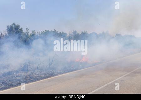 Die Auswirkung der Klimakatastrophe in Italien 27.06.2025, EU, ITA, Italien, Apulien, Lecce, Matino: neben dem Feuerbakterium Xylella fastidiosa OQDS bedrohen selbstentzündende Feuer, die durch ausbleibenden Regen und extreme Hitze entstehen, die Monokulturen der Olivenheine in der Region um Matino. EU, ITA, Italien, Apulien, Lecce, Matino: neben dem Feuerbakterium Xylella fastidiosa OQDS bedrohen selbstentzündende Brände, die durch Regen und extreme Hitze verursacht werden, die Monokulturen der Olivenhaine in der Region um Matino. Stockfoto