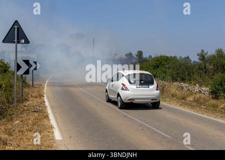 Die Auswirkung der Klimakatastrophe in Italien 27.06.2025, EU, ITA, Italien, Apulien, Lecce, Matino: neben dem Feuerbakterium Xylella fastidiosa OQDS bedrohen selbstentzündende Feuer, die durch ausbleibenden Regen und extreme Hitze entstehen, die Monokulturen der Olivenheine in der Region um Matino. EU, ITA, Italien, Apulien, Lecce, Matino: neben dem Feuerbakterium Xylella fastidiosa OQDS bedrohen selbstentzündende Brände, die durch Regen und extreme Hitze verursacht werden, die Monokulturen der Olivenhaine in der Region um Matino. Stockfoto