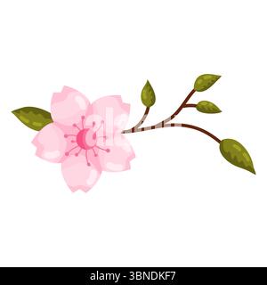 Eine einfache, elegante Illustration einer einzelnen rosa Kirschblüte oder Sakura mit einem zarten braunen Zweig und grünen Knospen. Dieses isolierte Blumenmuster Stock Vektor