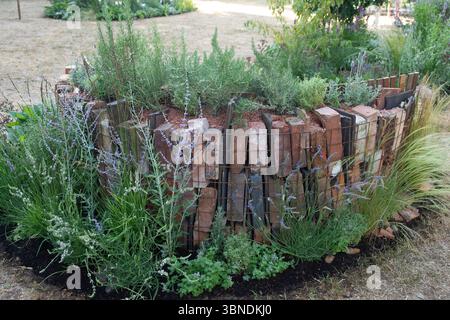 East Molesey, Surrey, Großbritannien. 30. Juni 2025. Geschichten erzählen, Erinnerungen machen von Ella Clarke und Sally Holder, einer der „für die Liebe der Lamiaceae“ – die aromatische Pflanzenfamilie grenzt beim RHS Hampton Court Palace Garden Festival 2025. Von den fünf Sinnen ist der Geruchssinn der einzige voll entwickelte, bevor wir geboren werden. Unsere frühesten Erinnerungen sind in Duft und Aromen, die uns zurück in eine vergangene Zeit versetzen können. Im Gehirn werden Duftmoleküle von der olfaktorischen Bulbe erfasst, die direkt mit dem limbischen System verbunden ist, einschließlich der Amygdala und dem Hippocampus, die Zentren der Emotionen A sind Stockfoto