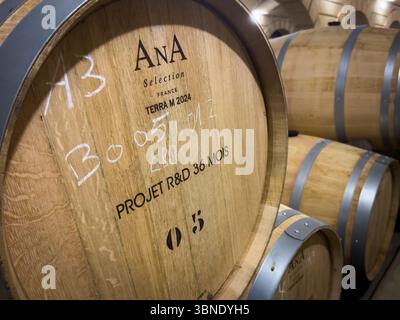 Große Barriques aus französischer Weißeiche mit gereiftem Wein in den Kellern von Château Bouscasse in Maumusson-Laguian, Gers, Frankreich. Stockfoto