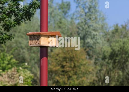 Ein Holzinsektenhotel oder Bienenhaus an einem roten Laternenpfahl, eingebettet in eine üppige natürliche Umgebung im Freien, die die lokale Artenvielfalt fördert. Stockfoto