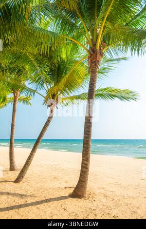 Sonniger tropischer Strand mit hohen Palmen, die Schatten auf den Sand werfen, und ruhiges blaues Meer mit niemandem, Phu Quoc Insel, Vietnam. Vertikale Ausrichtung Stockfoto
