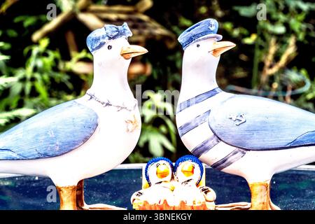 Souvenir aus dem Meer: Eine Möwenfamilie als Souvenir vom Meer Stockfoto