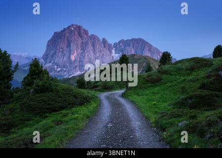 Schotterstraße, die sich durch grüne Wiesen und Berge schlängelt Stockfoto