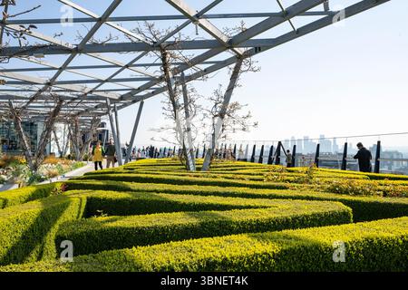 The Garden auf dem Dach 120, City of London, England Stockfoto