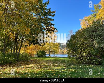 Eine atemberaubende Herbstszene mit einem ruhigen See umgeben von bunten Bäumen und Laub. Stockfoto