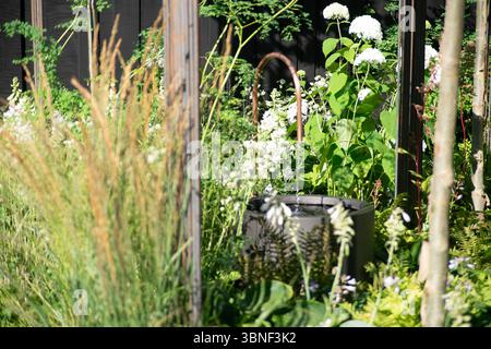 East Molesey, Surrey, Großbritannien. 30. Juni 2025. Einer der Gärten der Neugier, Ein Garten der Two Tales, Goldmedaillengewinner und der beste Garten der Neugier entworfen von Daniel March gesponsert von Arbour Landscape Solutions, Suns Lifestyle, Livingreen Design, Contractors, DH Studios und L&Co Exteriors beim RHS Hampton Court Palace Garden Festival 2025. Der Garten der Two Tales wurde entworfen, um Staunen und Neugier zu inspirieren. Es repräsentiert die natürliche Neugier der Menschheit, und das Design soll ein einladender Raum sein, der Besucher dazu bringt, anzuhalten, sich in ihre Umgebung einzumischen und Fragen zu stellen. Th Stockfoto