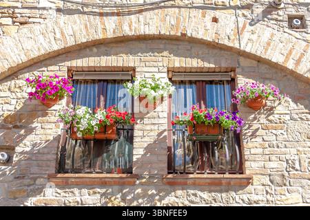 Bunte Blumen in Töpfen, die an Ziegelwänden hängen Stockfoto