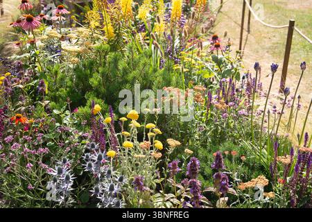 East Mosley, Großbritannien. 30. Juni 2025. Ein Pocket Planting Garden, Silbermedaillengewinner, Hot Pocket entworfen von Tom Pilgrim, gesponsert von Surrey County Council, Molesey Residents Association und Woven Wood Garden Products beim RHS Hampton Court Palace Garden Festival 2025. Eine auffällige und farbenfrohe Pflanztasche, in der Sie Zeit haben, eine Pause einzulegen, eine Barsche zu nehmen und sich wieder mit der Natur zu verbinden. Das Thema des Pocket konzentriert sich auf dürrentolerante Pflanzen, die unter heißen, trockenen und wenig fruchtbaren Bedingungen gedeihen und überleben können und gut für Bestäuber sind. Die Tasche ist inspiriert von trockenen Wiesen und Kiesgärten Stockfoto