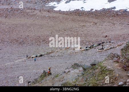 Schaffahrt am Niederjoch Schnalskamm, in der Nähe der Berghütte Similaunhütte. Die Schaffahrt über den Ötztaler Alpenkamm ist ein besonderes Erlebnis Stockfoto