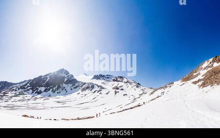 Schaffahrt am Niederjoch Schnalskamm, nahe der Hütte Similaunhütte, im Schnee., Berg Similaun verließ den Schaftrieb über den Stockfoto