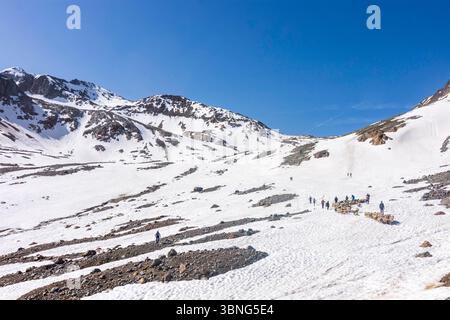 Schaffahrt am Niederjoch Schnalskamm, nahe der Hütte Similaunhütte, im Schnee., Berg Similaun verließ den Schaftrieb über den Stockfoto