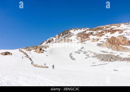 Sölden: Schaffahrt am Bergpass Niederjoch (Schnalskamm), nahe der Berghütte Similaunhütte, im Schnee. Die Schafe fahren über die Ötztaler Alpin Stockfoto