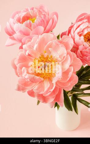 Drei pinkfarbene Pfingstrosen in weißer Vase, florales Stillleben Stockfoto