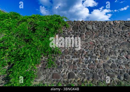 Historische Stadtmauer aus Stein, teilweise bedeckt mit üppigem grünem Efeu unter einem Sommerhimmel mit Wolken. Stockfoto