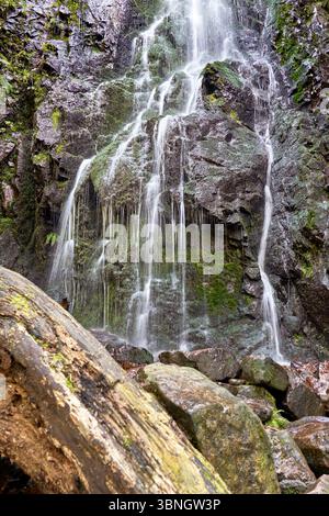 Blick auf den Burgbacher Wasserfall im Schwarzwald, Deutschland Stockfoto