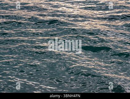 Das Sonnenlicht, das vom sanften Ozean reflektiert, wackelt in Hawaii und schafft eine strukturierte Oberfläche aus bewegtem Wasser mit sanften goldenen Highlights. Stockfoto
