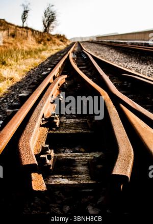 Ein Bild eines Eisenbahngleises mit einer Umschaltung, die Gleise sind rostig und alt, und das Bild ist aus einem niedrigen Winkel aufgenommen. Stockfoto