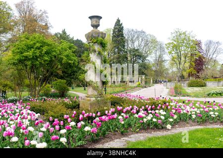 Almedalen Gärten, Altstadt, Visby, Gotland Region (Gotlands Kommun), Königreich Schweden Stockfoto