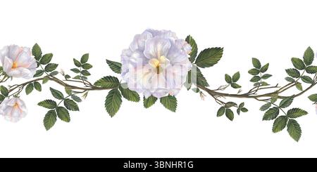 Hagebuttenblüten, Äste und Blätter. Horizontaler, nahtloser Rand mit Aquarell. Abbildung isoliert auf weißem Hintergrund. Nahtloser Rand, Muster Stockfoto