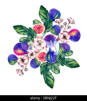 Fig. Aquarellstrauß isoliert auf weiß. Tropische Pflanze, Abb. Botanische Feigenabbildung mit Aquarell für Designkarten, Einladungen und Branding Stockfoto
