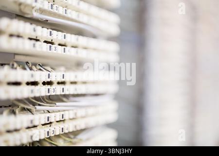 Die Steckverbinderplatte für Telekommunikation wird in flacher Ausführung mit Verdrahtung und Kontaktklemmen gezeigt Stockfoto