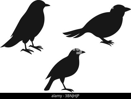 Fliegende Vogel Silhouetten Vektor-Illustration | Gruppe von Schwarzen wilden Vögeln im Flug auf weißem Hintergrund für Natur Grafik und Kunst Design Projekte Stock Vektor
