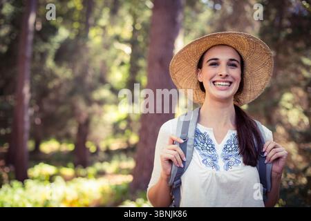 Sonnenlicht, das durch hohe Kiefern gefiltert wird und Schatten auf dem Waldweg unter dem Dach wirft Stockfoto