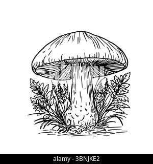 Pilze im Gras mitten im Wald. Dickicht, eine Skizze in schwarz-weißer Tinte. Vektorabbildung. Herbstdekor, isoliert auf weißem Hintergrund. Stock Vektor