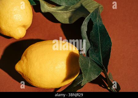 Lebendige und frische Zitronen mit tiefgrünen Blättern sind elegant auf einer warmen braunen Oberfläche angeordnet. Die kontrastierenden Farben sorgen für eine optisch eindrucksvolle Komposition Stockfoto