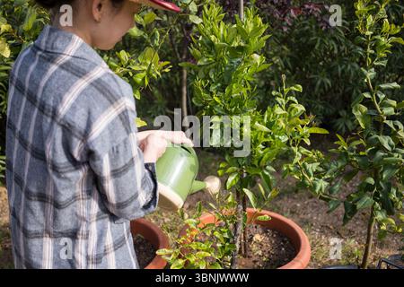 Eine junge Frau in lässiger Kleidung pflegt ihren Bio-Garten und pflegt mit einer Gießkanne üppig grüne Pflanzen in Töpfen, die nachhaltiges Leben und ein nachhaltiges Leben verkörpern Stockfoto
