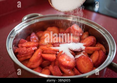 Frische Erdbeeren werden in Scheiben geschnitten und Zucker bestreut, um eine handgefertigte Marmelade herzustellen. Die Betonung einer gesunden Ernährung und eines nachhaltigen Lebensstils in a c Stockfoto