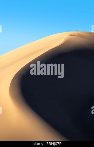 Ein atemberaubender Blick auf die weitläufigen goldenen Sanddünen, die vom Wind geformt werden, unter einem leuchtend blauen Himmel. Die Schatten, die von den Dünen geworfen werden, schaffen eine faszinierende Atmosphäre Stockfoto