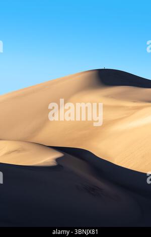 Weitläufige goldene Sanddünen erstrecken sich unter einem klaren blauen Himmel und werfen sanfte Schatten über ihre Kurven. Die ruhige Landschaft verkörpert die Weite und das t Stockfoto