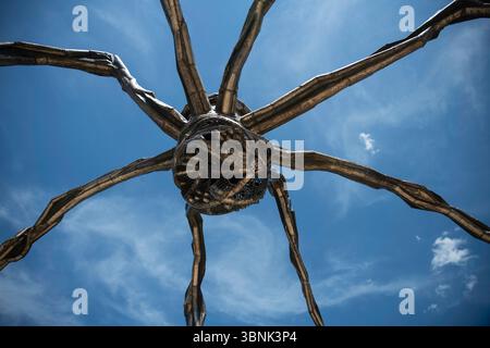 Die berühmte Riesenspinne „Maman“ der französischen Künstlerin Louise Bourgeois steht am Fluss hinter dem Guggenheim Museum Bilbao und ist eine der größten Stockfoto