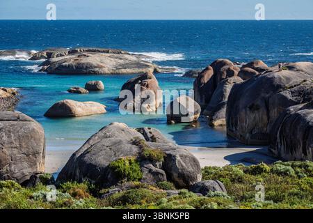 Elephant Rocks, William Bay National Park, in der Nähe von Dänemark, Westaustralien Stockfoto