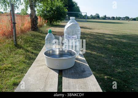 Eine Hunde-Wasserschale und zwei Plastikflaschen mit Wasser in einer Parkbank, damit Hunde ein Getränk trinken können, wenn sie mit den Besitzern an einem heißen Tag spazieren gehen Stockfoto