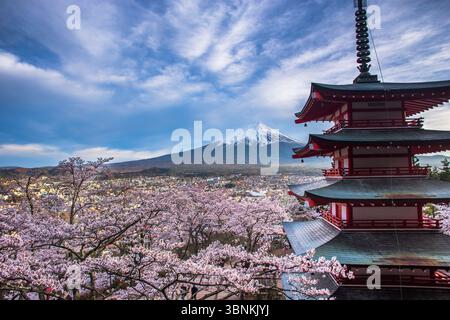Fünfstöckige Pagode, Kirschblüten und Mount Fuji Stockfoto
