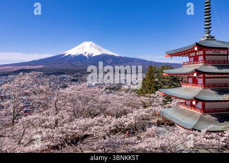 Kirschblüten, fünfstöckige Pagode und Mt. Fuji vom Arakurayama Sengen Park Stockfoto