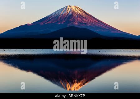 Mt. Fuji bei Sonnenuntergang vom Shoji-See aus gesehen Stockfoto