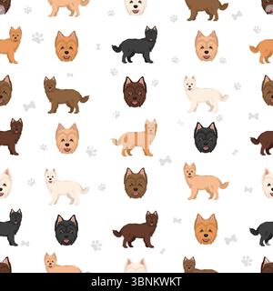 Westiepoo Clipart. West Highland White Terrier Poodle Mix. Verschiedene Fellfarben eingestellt. Vektorabbildung Stock Vektor