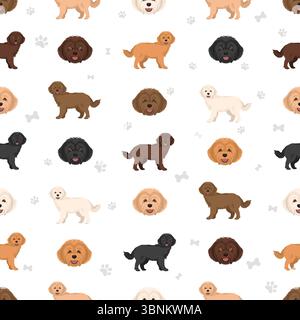 Westiepoo Clipart. West Highland White Terrier Poodle Mix. Verschiedene Fellfarben eingestellt. Vektorabbildung Stock Vektor