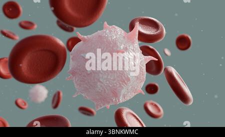 Ein 3D-Rendering, das einen pathologischen Zustand im Blutkreislauf mit abnormalen oder krebsartigen weißen Blutkörperchen oder Leukämie veranschaulicht Stockfoto
