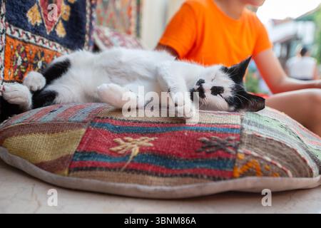 Eine schwarz-weiße Katze schläft friedlich auf einem türkischen Kissen. Stockfoto