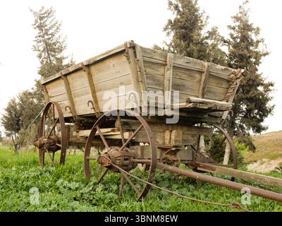 Ein alter hölzerner Pferdewagen im grünen Gras Stockfoto